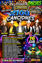 PUROS PINCHES CORRIDOS en USB